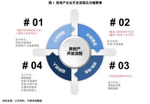 房地產(chǎn)財務(wù)分析寶典系列一 房地產(chǎn)開發(fā)業(yè)務(wù)流程 審批要求及會計處理